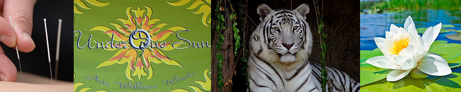White Tiger Acupuncture White Tiger Acupuncture of Tucson